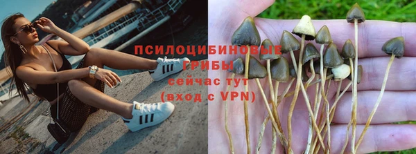 таблы Вяземский