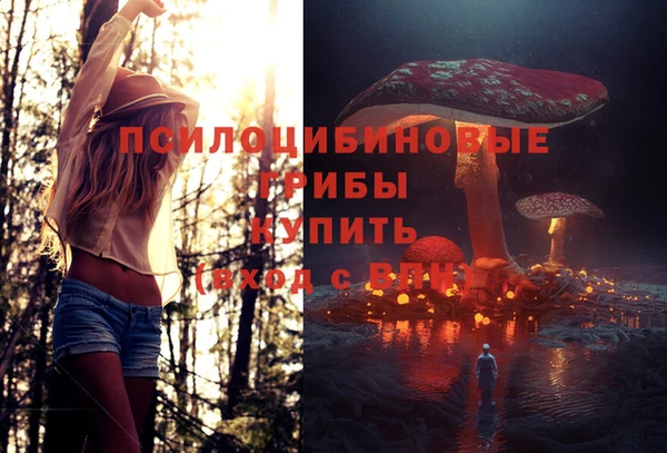 таблы Вяземский
