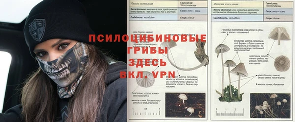 тгк Вязники